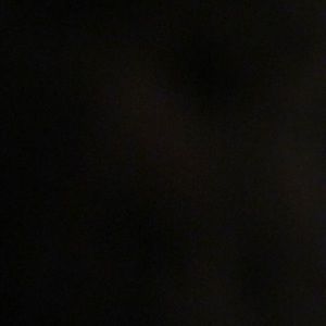 Meet your Posher, Dee